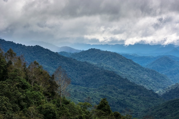 美しい風景