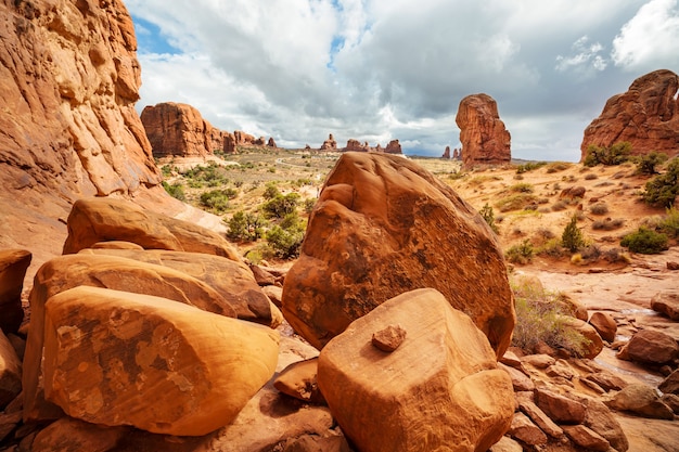 Beautiful landscapes of the American desert