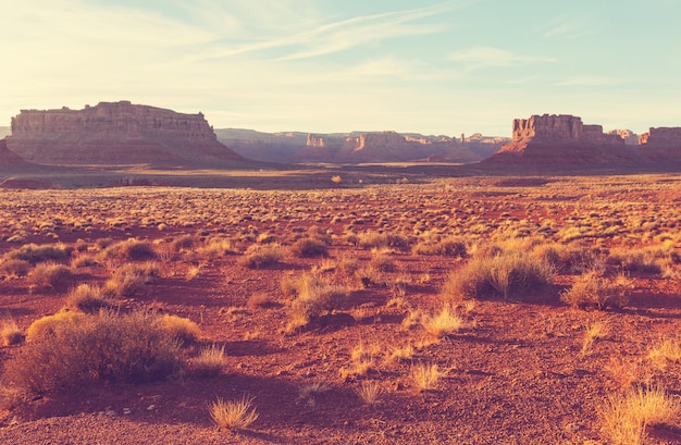 アメリカの砂漠の美しい風景