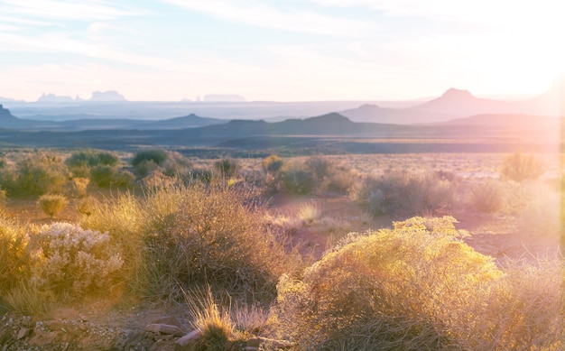 Beautiful landscapes of the American desert