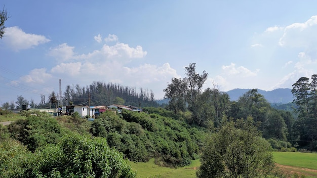 Beautiful landscapes from Ooty