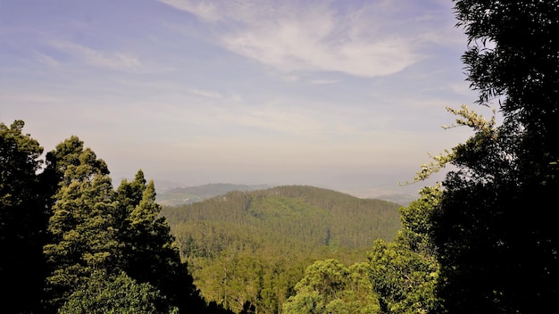 Beautiful landscapes from Ooty