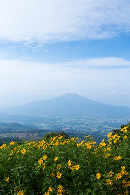 写真 phu pa poh、ルーイ州、タイの美しい風景。