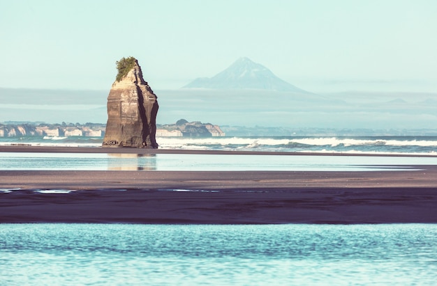 ニュージーランドのオーシャンビーチの美しい風景。感動的な自然と旅行の背景