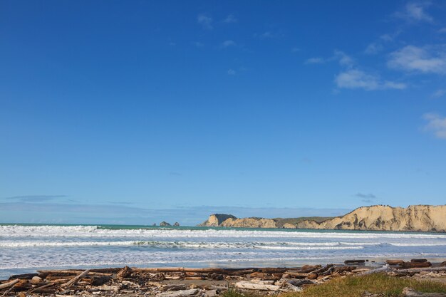 Beautiful landscapes it the Ocean Beach, New Zealand.