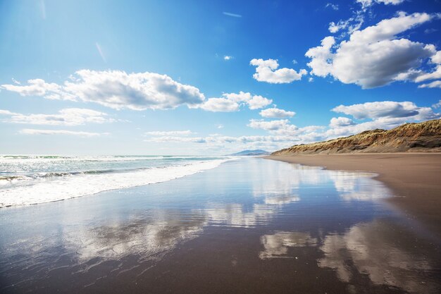 Beautiful landscapes it the Ocean Beach, New Zealand.