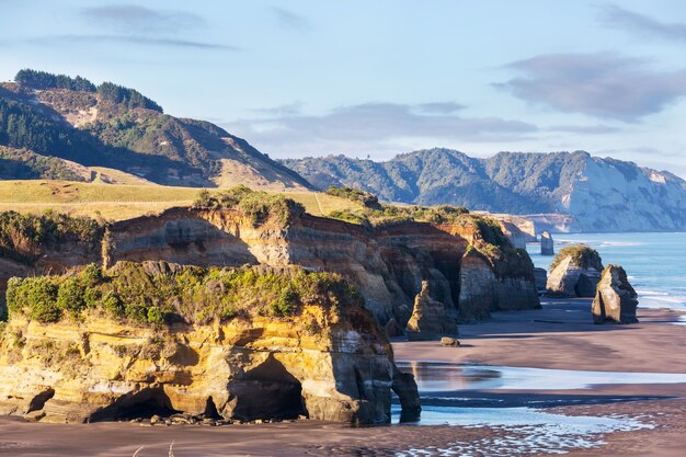 Beautiful landscapes it the Ocean Beach, New Zealand.