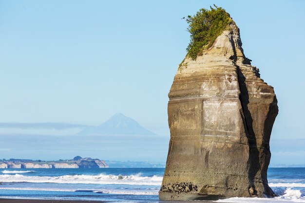 Beautiful landscapes it the Ocean Beach, New Zealand.