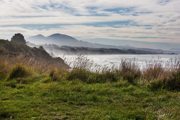 Beautiful landscapes it the Ocean Beach, New Zealand.