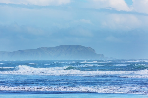 Beautiful landscapes it the Ocean Beach, New Zealand.