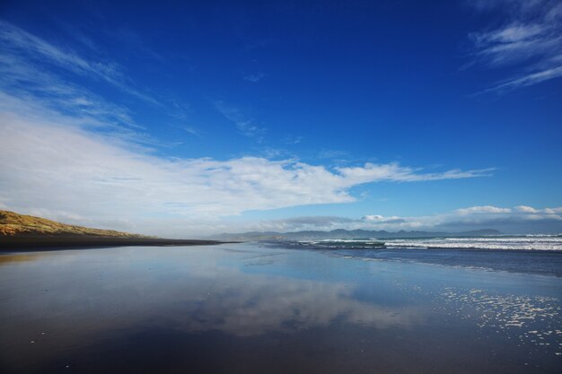 Beautiful landscapes it the Ocean Beach, New Zealand.