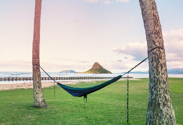 Photo beautiful landscapes in oahu island, hawaii