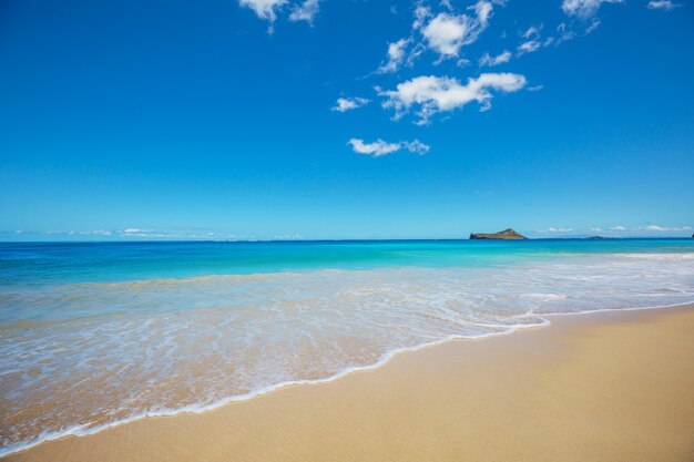 Beautiful landscapes in Oahu island, Hawaii