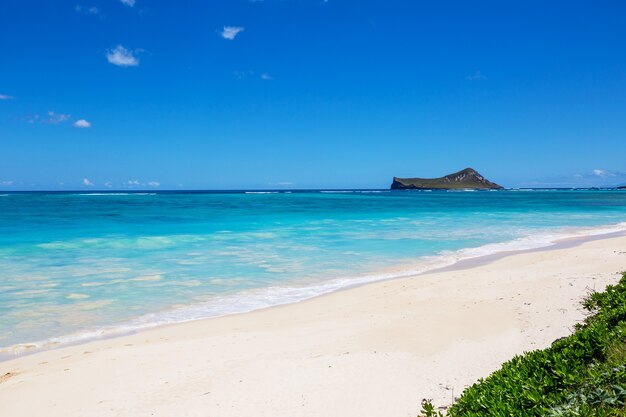 ハワイ、オアフ島の美しい風景