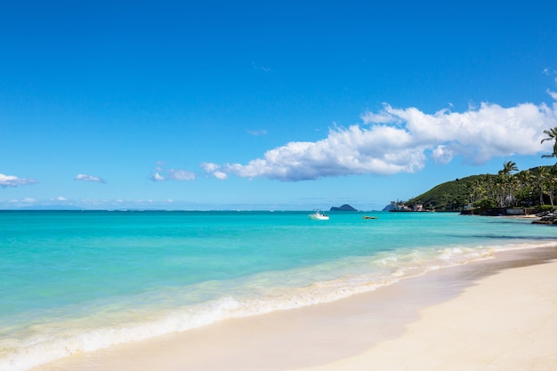 Beautiful landscapes in Oahu island, Hawaii