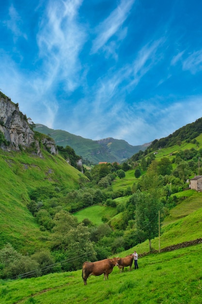 beautiful landscapes in the pasiegos valleys cantabria