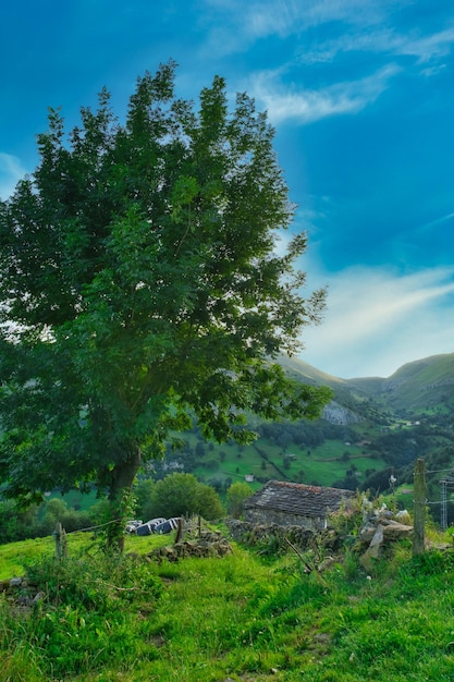 beautiful landscapes in the pasiegos valleys cantabria