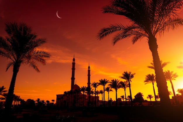 Beautiful large Islamic mosque at sunset