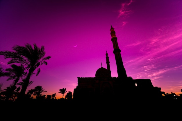 Beautiful large Islamic mosque at sunset