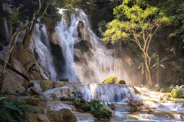 Beautiful large waterfall flowing between rocks in a deep green forest. Waterfall flowing 