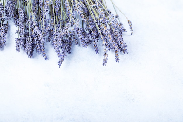 Beautiful lavender flowers frame