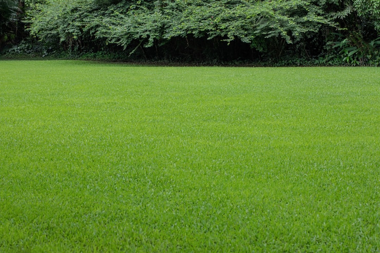 Photo beautiful lawn in a natural landscape