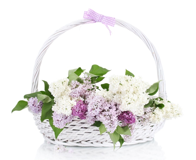 Beautiful lilac flowers in basket isolated on white