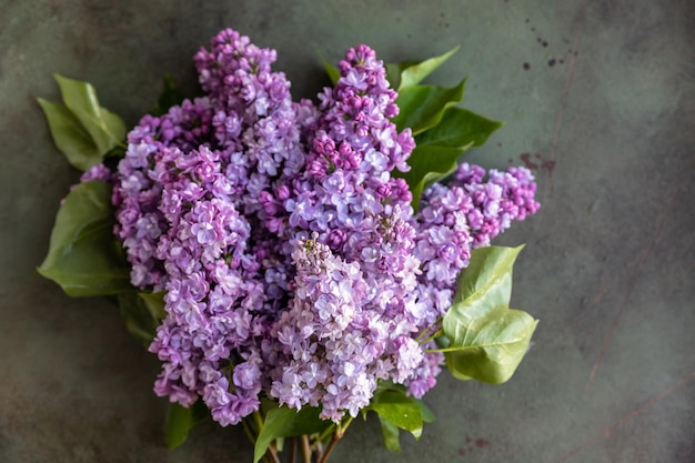 Foto bellissimi fiori lilla ramo sfondo verde cemento sfondo naturale concetto stagionale