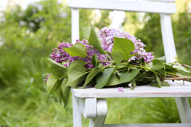Beautiful lilac flowers on chair in garden