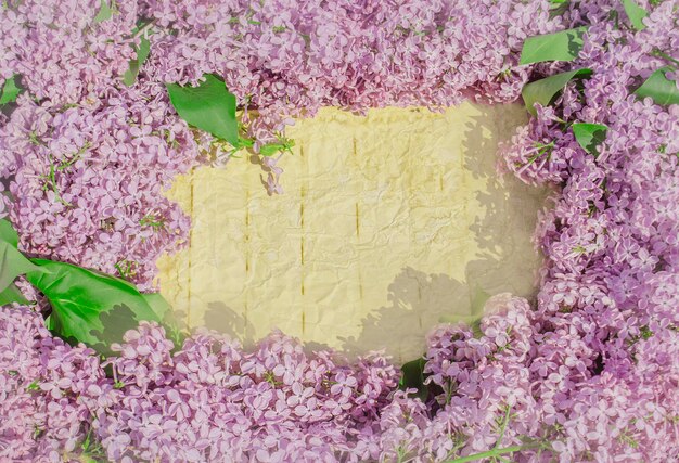 Beautiful lilac flowers Lilac on natural background