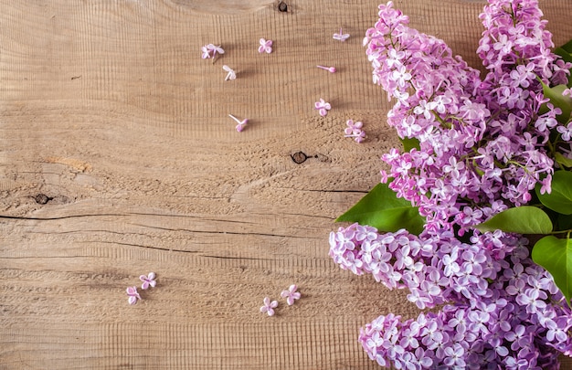 Beautiful lilac flowers on wooden background