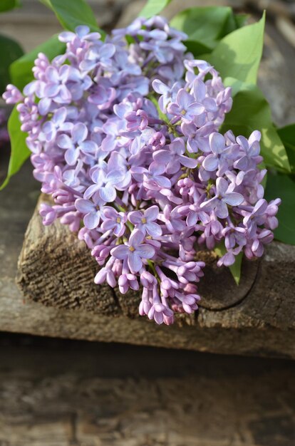 Beautiful lilac flowers on wooden table