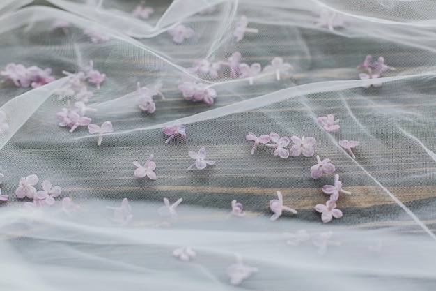Beautiful lilac petals on soft tulle on dark wood top view copy space Tender spring aesthetic