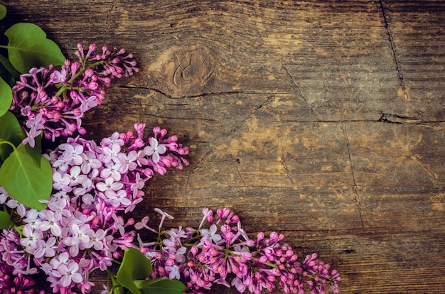 Beautiful lilac on a wooden background