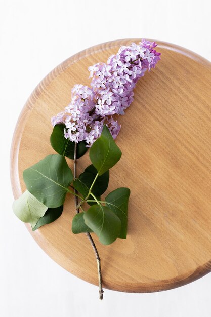 The beautiful lilac on a wooden background