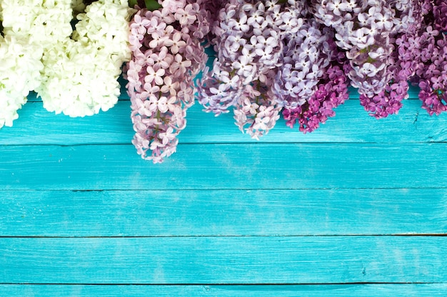 The beautiful lilac on a wooden surface studio shot