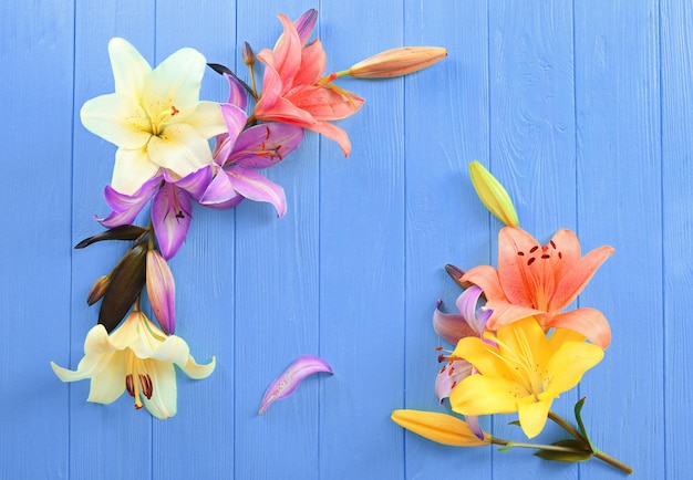 Beautiful lilies on blue wooden background