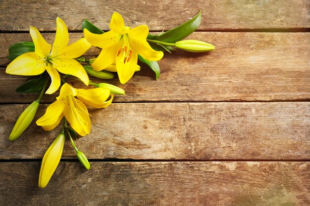 Beautiful lilies on wooden background