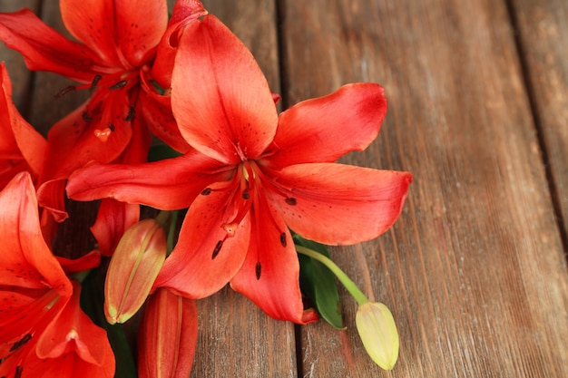 Beautiful lily on wooden background