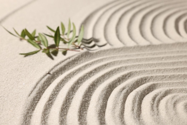 Beautiful lines and branches on sand closeup Zen garden