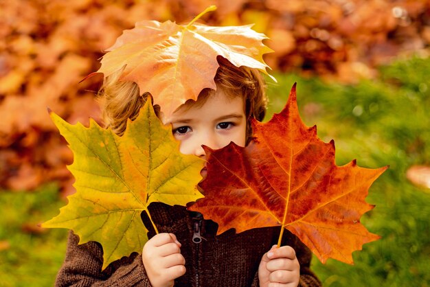 Foto il bellissimo ragazzino si gode la natura autunnale ha una faccia felice. ritratto di bambino.