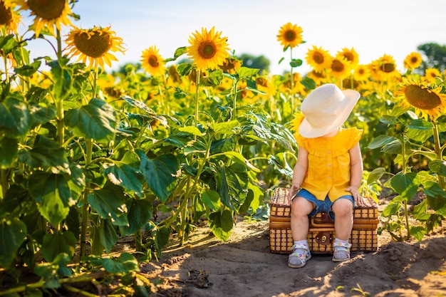 Красивая маленькая девочка в цветущем поле подсолнечника в летнее время