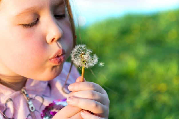 Beautiful little girl blowing a dandelion on a background of green grass