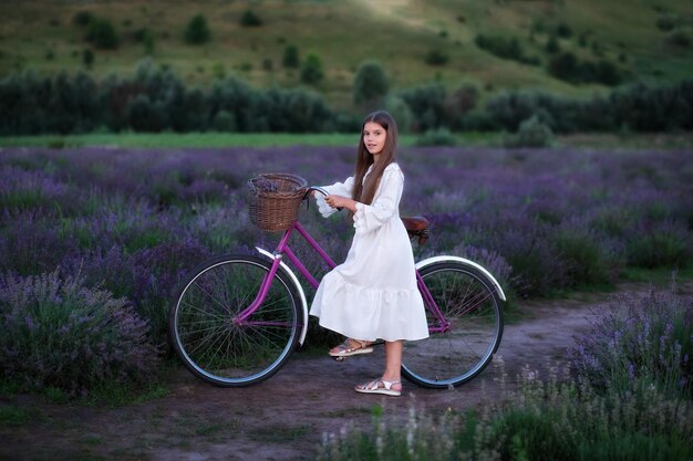 beautiful little girl in dress with bouquet flowers lavender in field with bicycle and basket