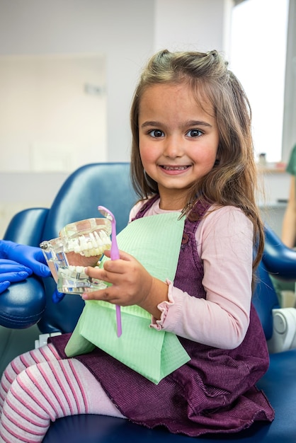 красивая маленькая девочка сидит в стоматологическом кресле и держит макет зубов. Концепция расположения зубов