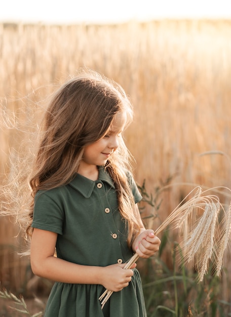 Beautiful little girl with long hair walking through a wheat field on a sunny day. Outdoors portrait. Kids relaxing