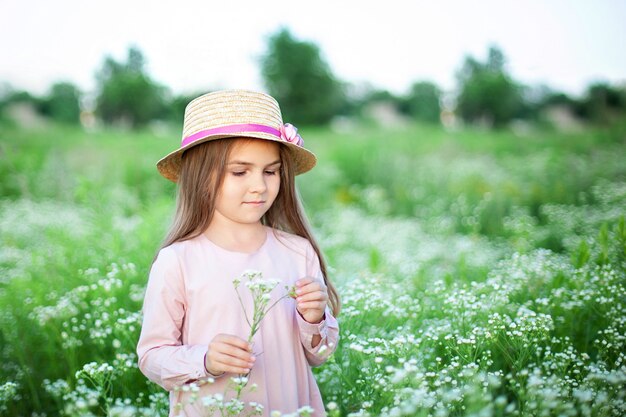 Beautiful little smiling girl in pink dress and straw hat in field of daisies.  Cute child in field of blooming chamomile in summer.