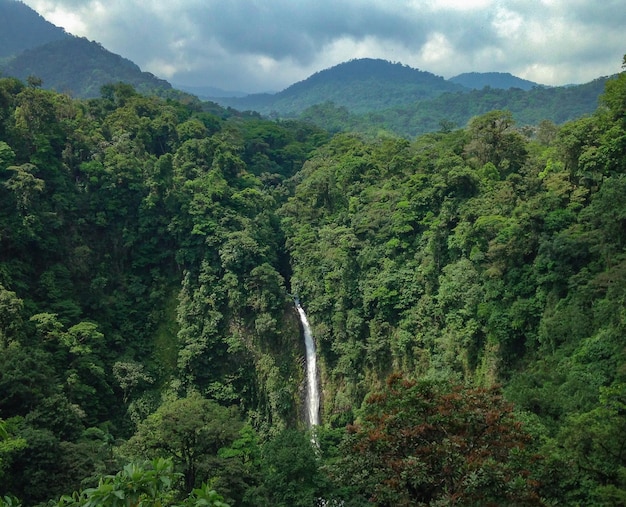 Foto una bellissima cascata solitaria nella giungla della costa rica