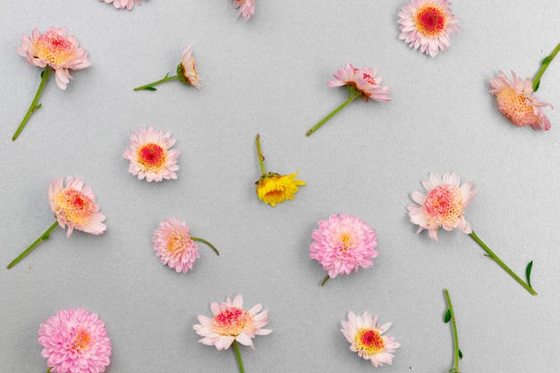 Красивые из ярких цветочных бутонов плоской планировки