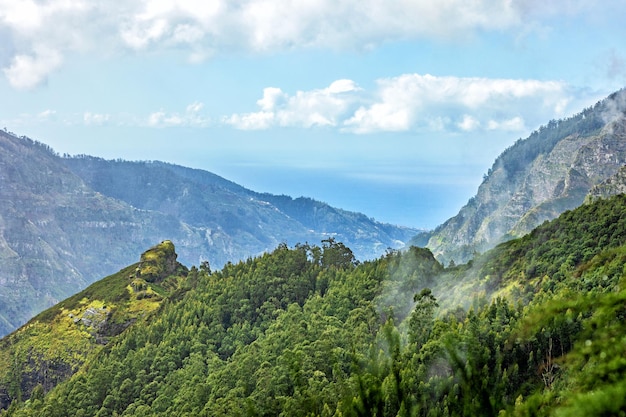 Beautiful Madeira landscape